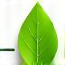 Leaf-shaped EV battery as a symbol of eco-friendliness